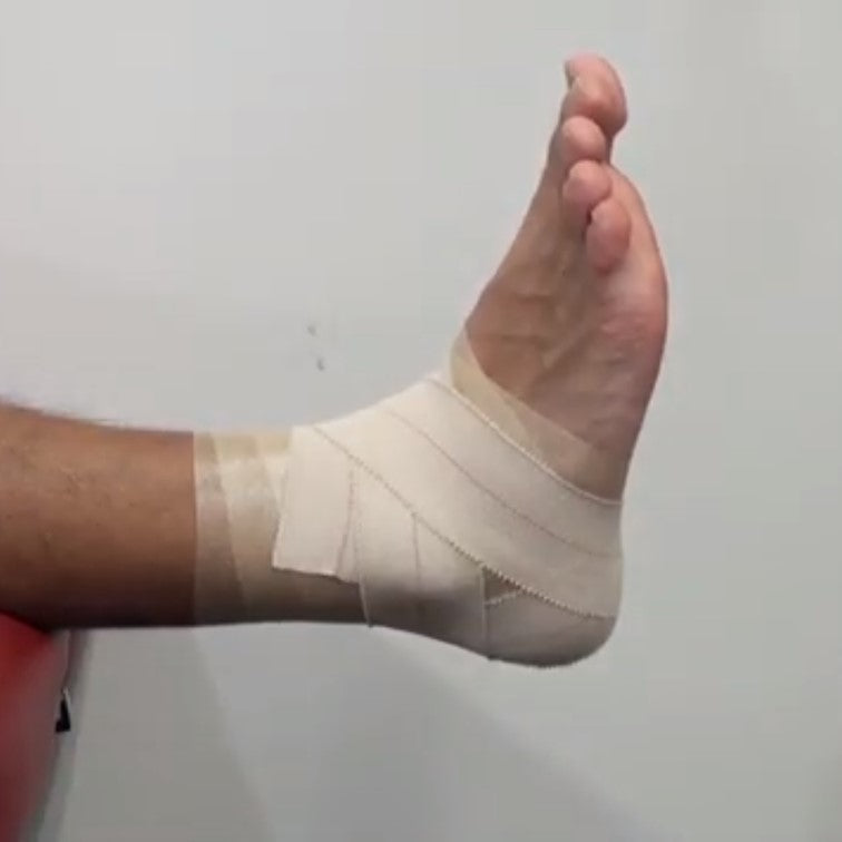 エラスティックプラス スモールパック