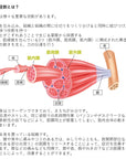 GRIDフォームローラー ブラック