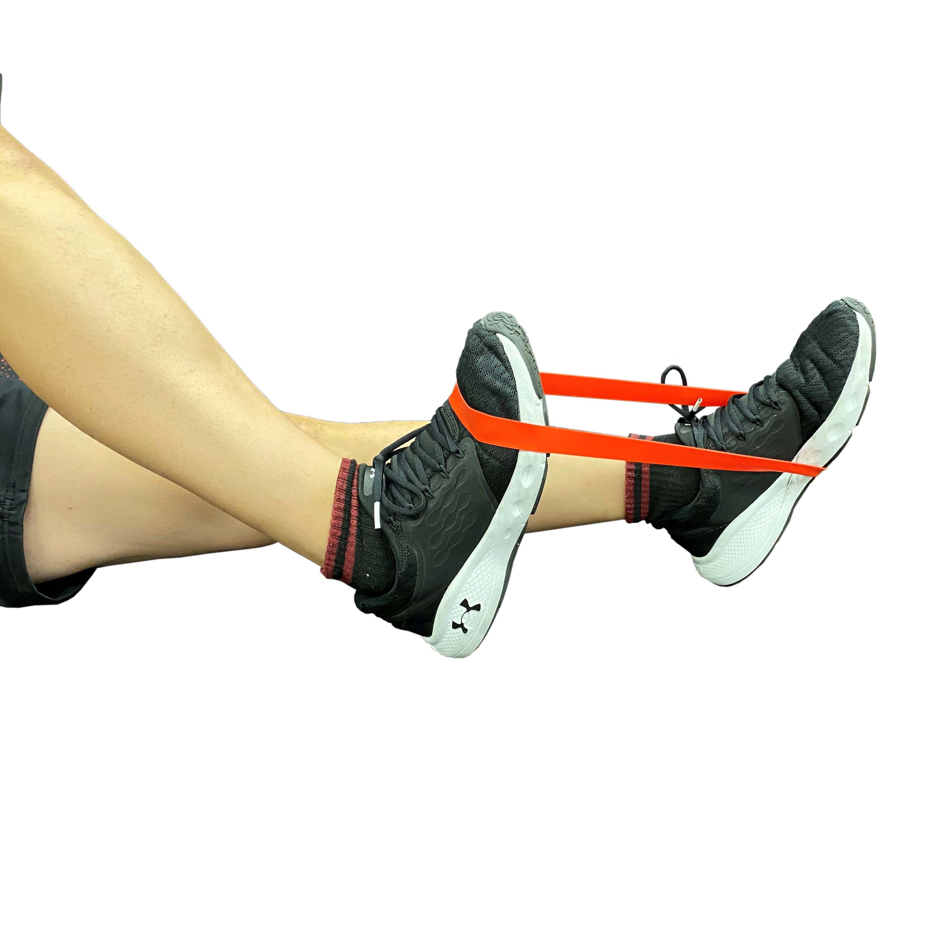 トーンループ レッド ミディアム×10本